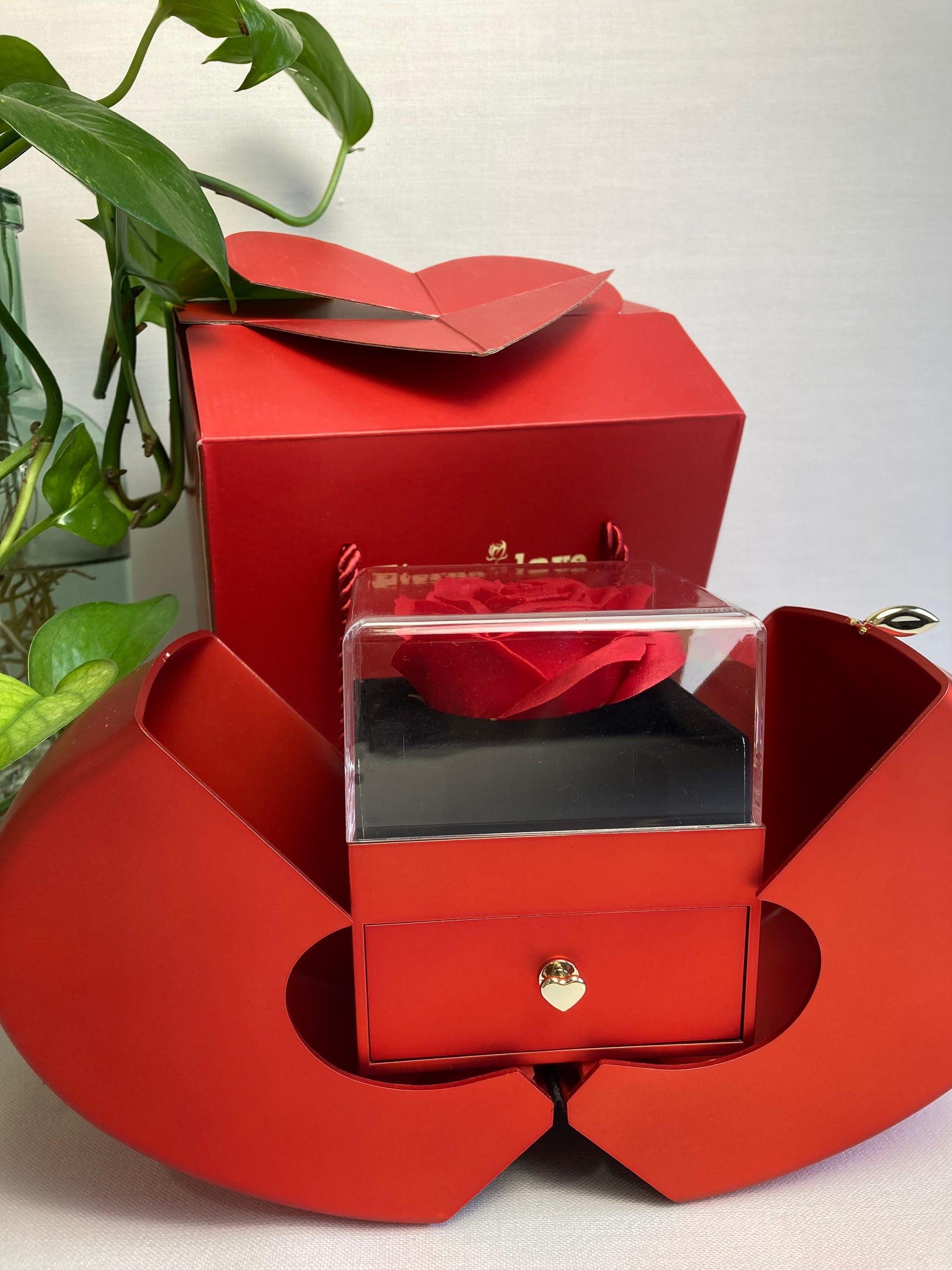 Coffret bijou rouge Modoza ouvert en forme de pomme avec rose sous cloche et collier raffiné