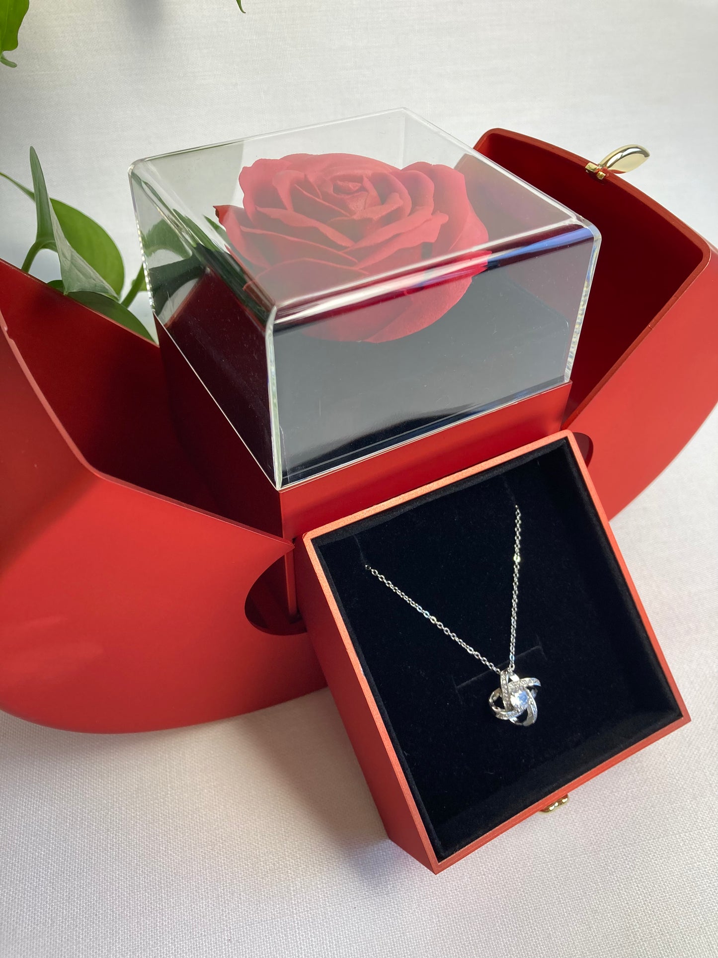 Coffret bijou Modoza en forme de pomme rouge ouverte avec rose sous cloche et collier élégant