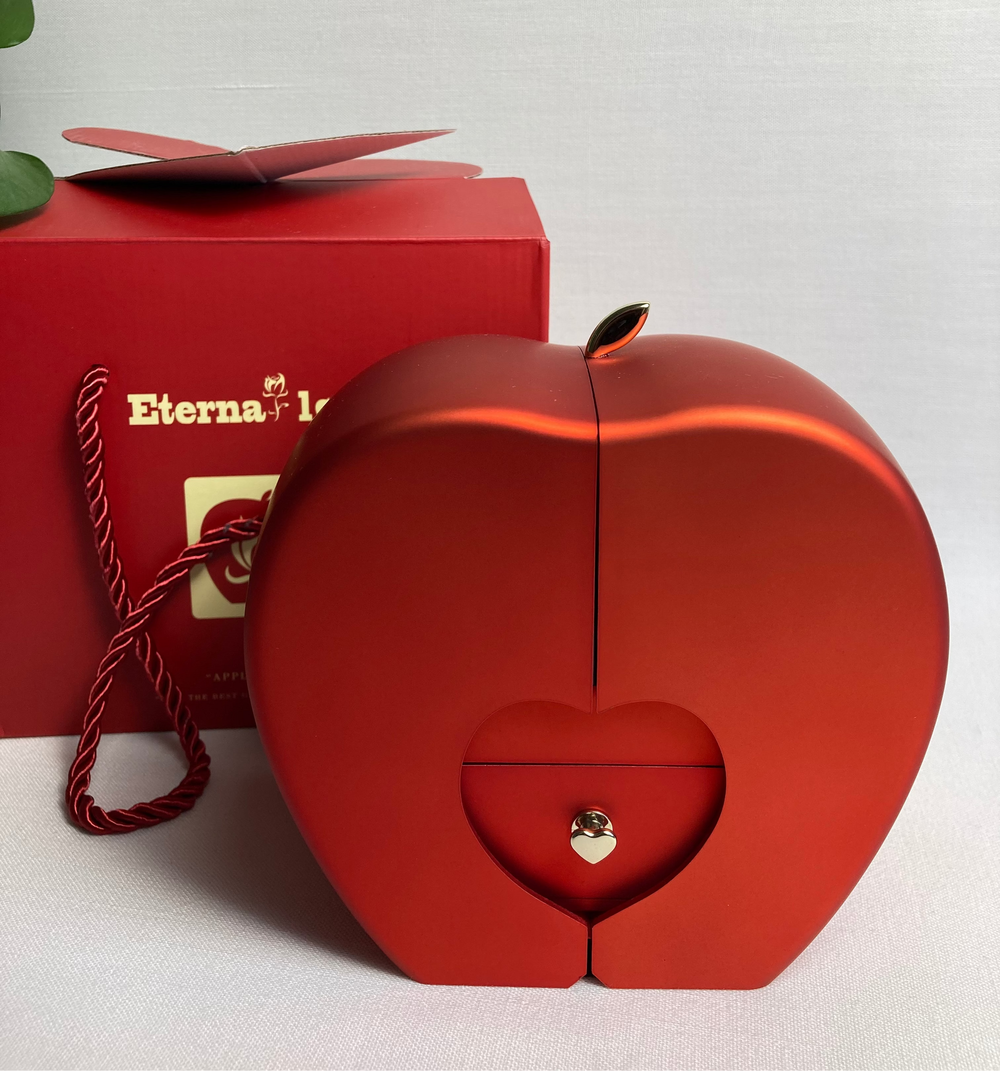 Coffret bijou Modoza prêt à offrir avec emballage cadeau haut de gamme